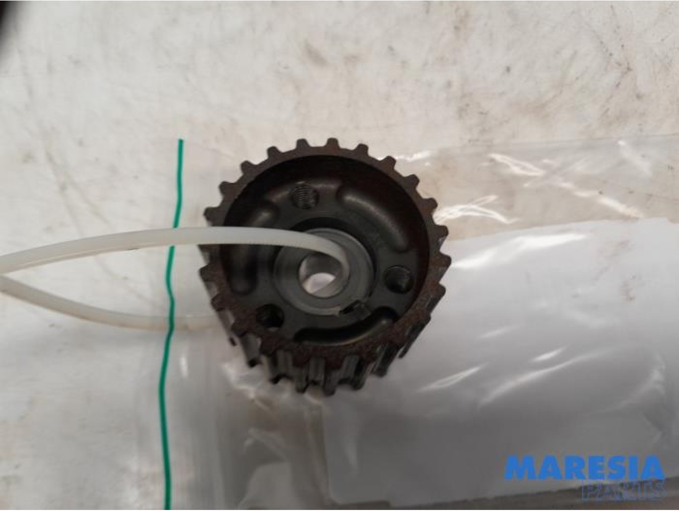 Fiat - 500 - Crankshaft sprocket