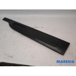 Citroen - C4 Cactus - Door strip