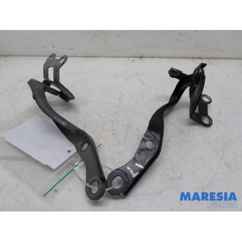 Citroen - C1 - Bonnet Hinge