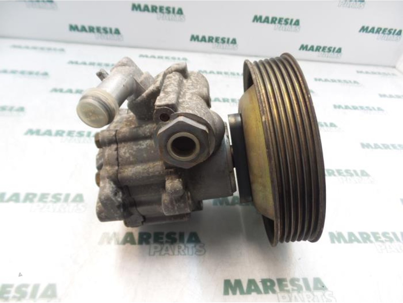 Fiat - Brava - Power steering pump