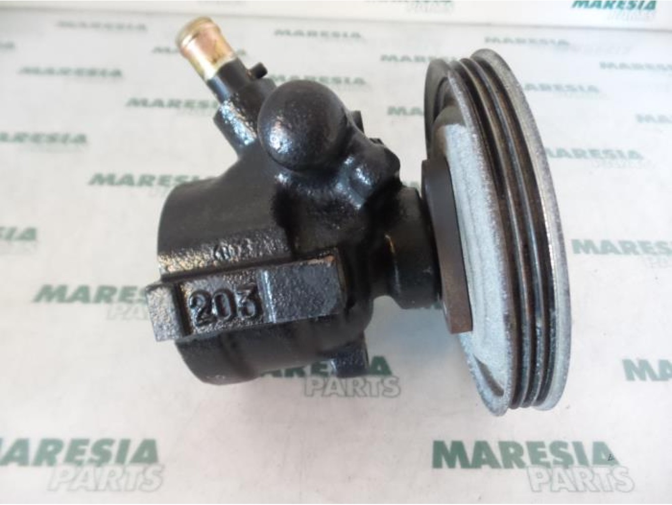 Fiat - Palio - Power steering pump