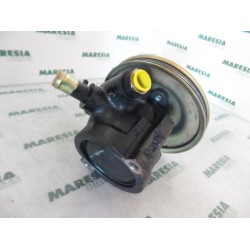 Fiat - Palio - Power steering pump