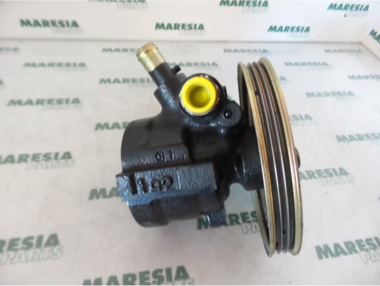 Fiat - Palio - Power steering pump