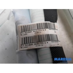 Citroen - C4 Cactus - Airbag Himmel links