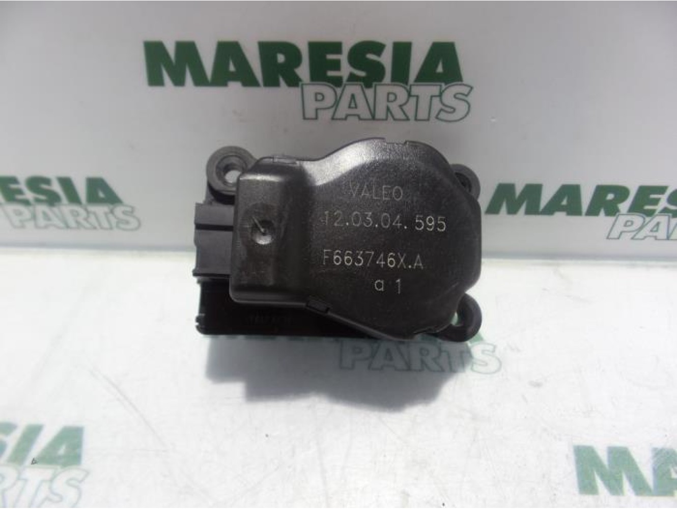 Renault - Megane - Kachelklep Motor