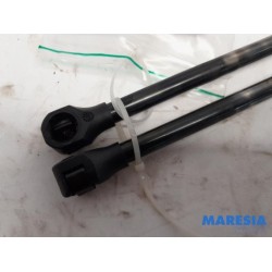 Renault - Trafic - Set of tailgate gas struts