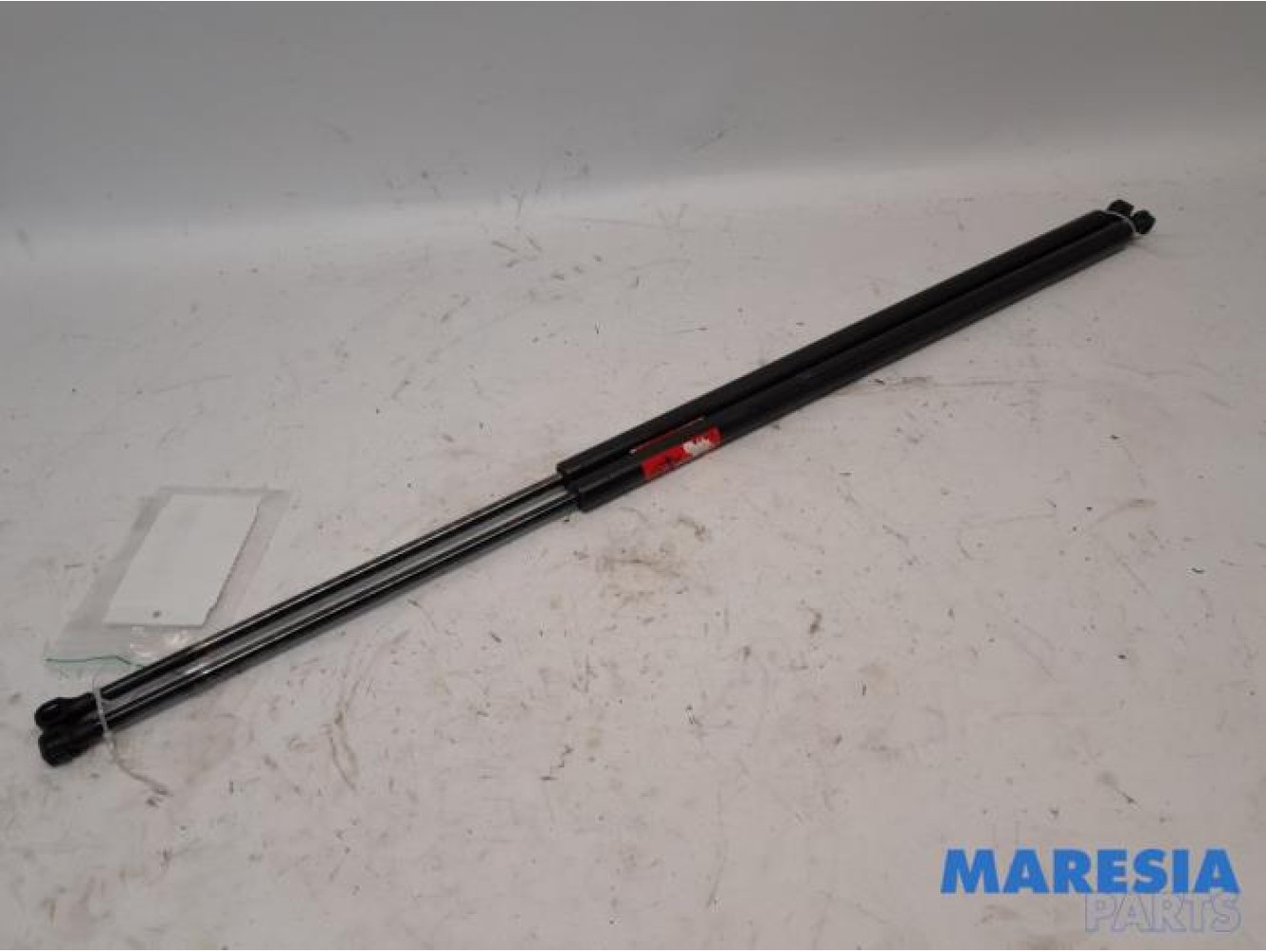 Renault - Trafic - Set of tailgate gas struts