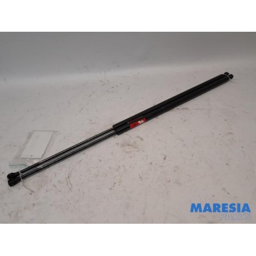 Renault - Trafic - Set of tailgate gas struts