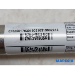 Fiat - Punto - Gordelspanner links