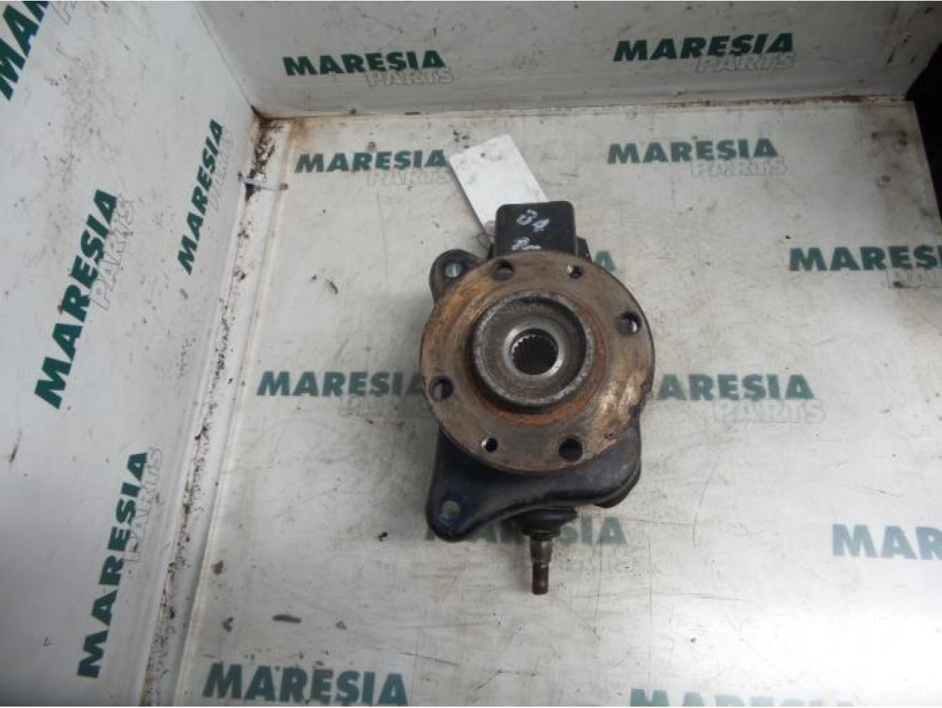 Fiat - Panda - Achsschenkel links vorne