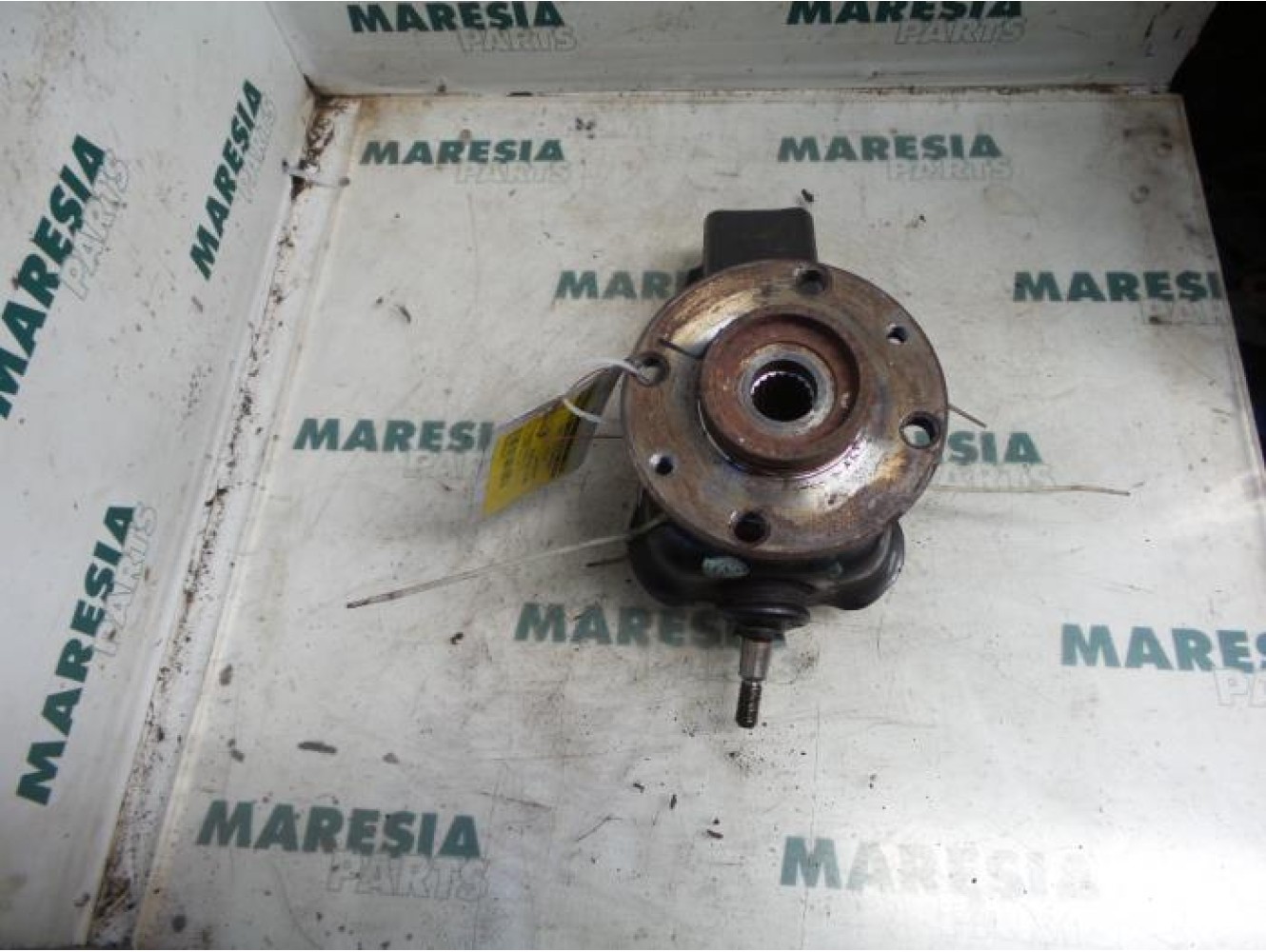 Fiat - Panda - Knuckle, front left