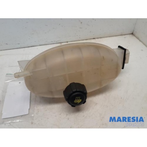 Renault - Trafic - Expansion vessel
