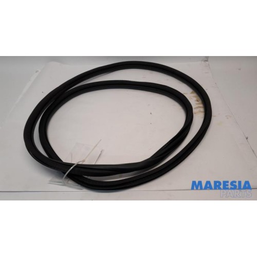 Citroen - C5 Aircross - Front door seal 4-door, left