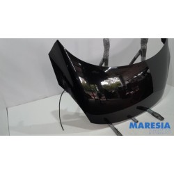 Renault - Scenic - Motorkap