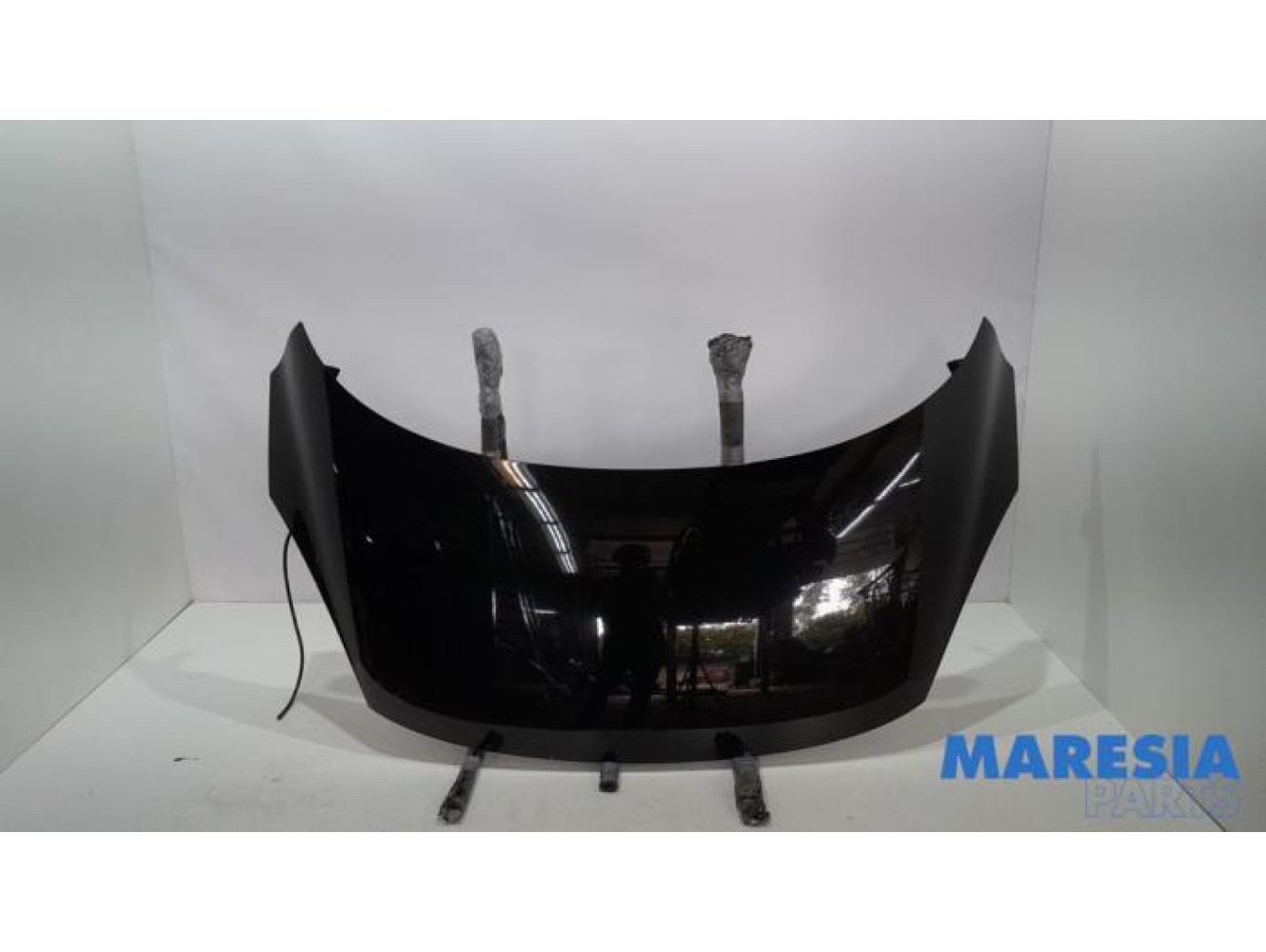 Renault - Scenic - Motorkap
