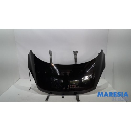 Renault - Scenic - Bonnet