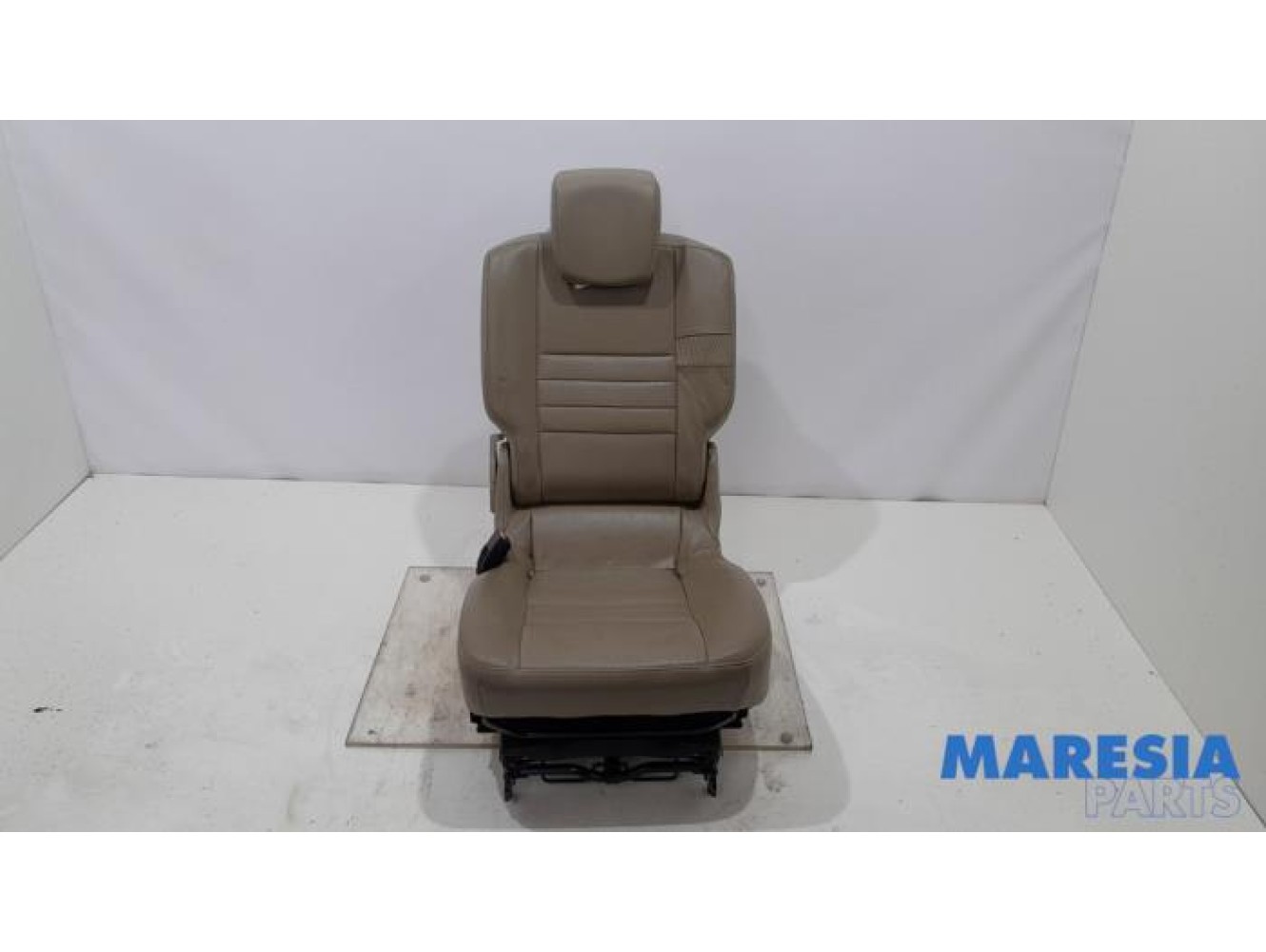 Renault - Scenic - Rear seat