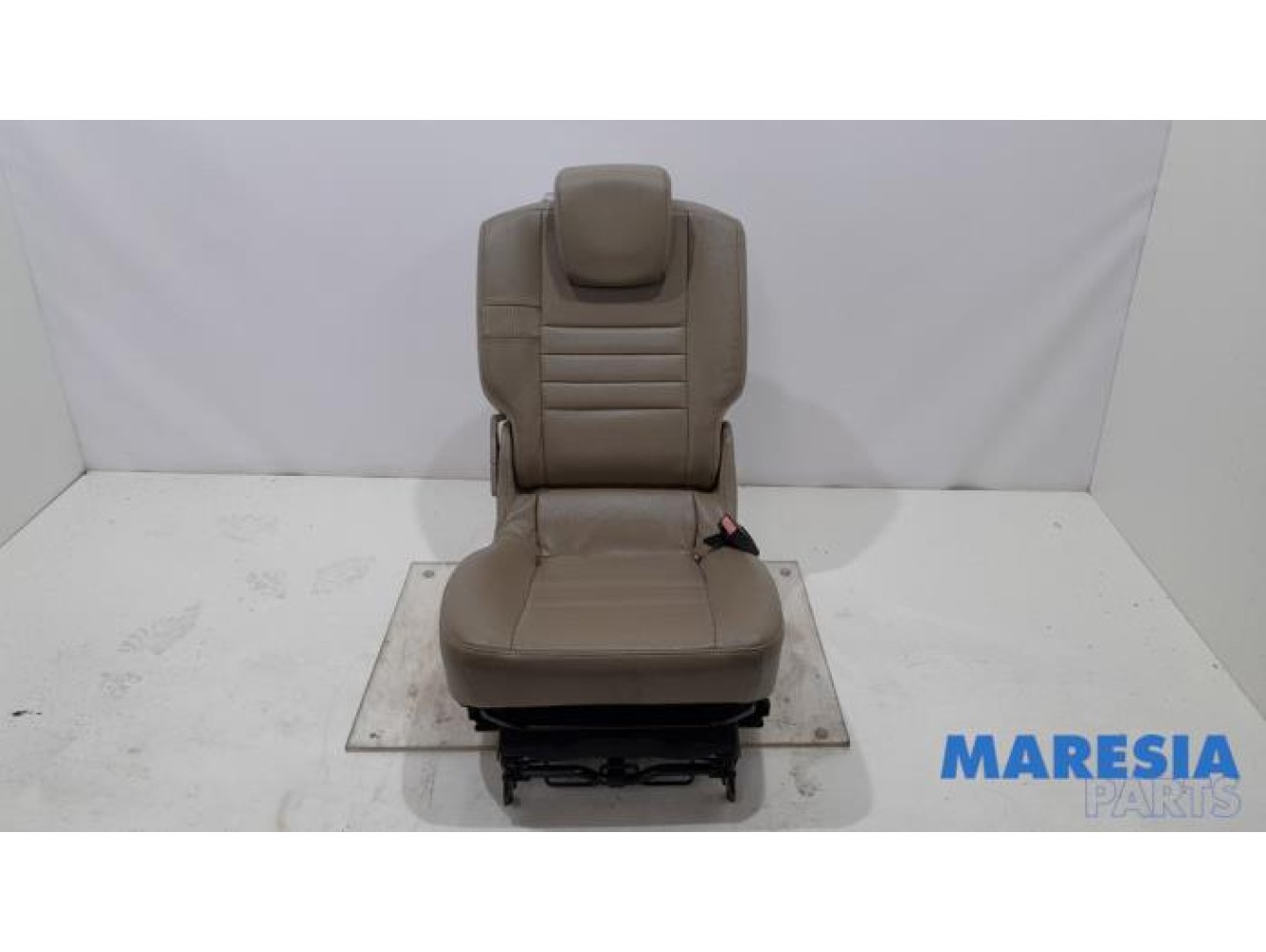 Renault - Scenic - Sitz hinten