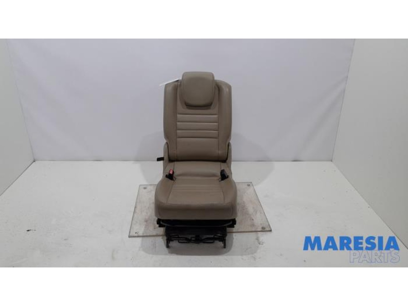 Renault - Scenic - Sitz hinten