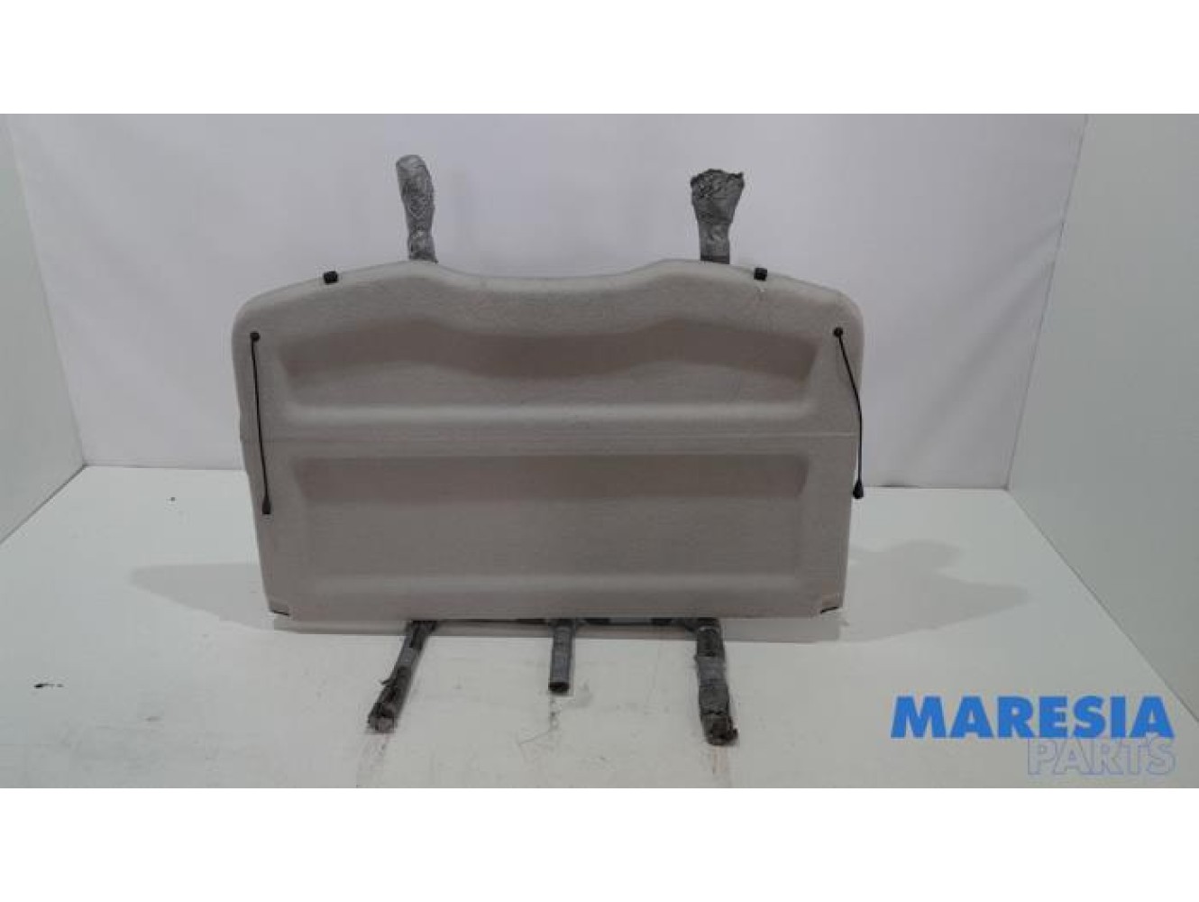 Renault - Scenic - Plage arrière