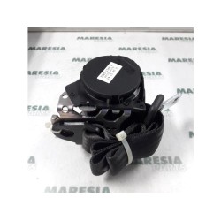 Fiat - Panda - Sicherheitsgurt links hinten