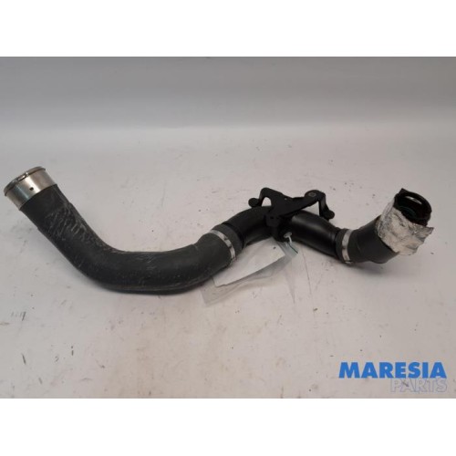 Renault - Captur - Intercooler hose