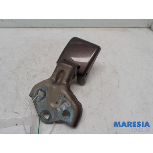 Peugeot - Expert - Rear door hinge, right