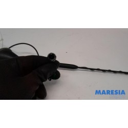 Fiat - 500 - Antenne