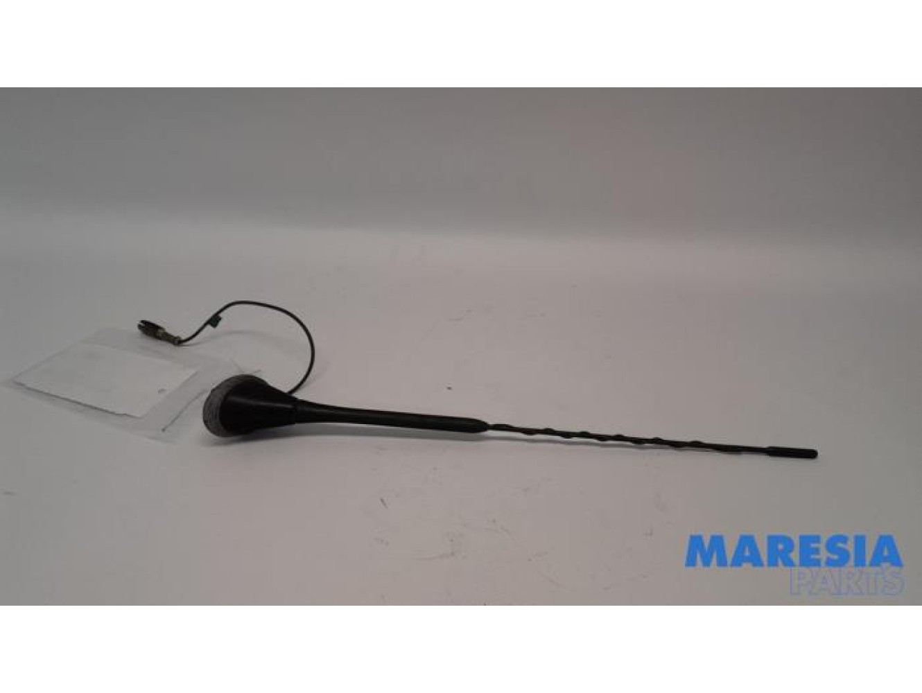 Fiat - 500 - Antenne