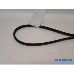 Citroen - C1 - Dakrubber links