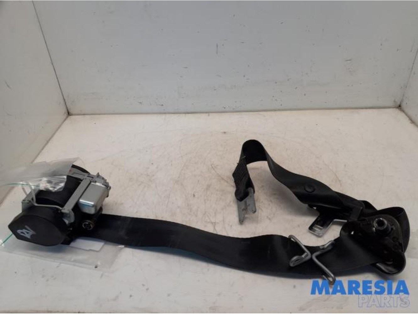 Renault - Scenic - Front seatbelt, right