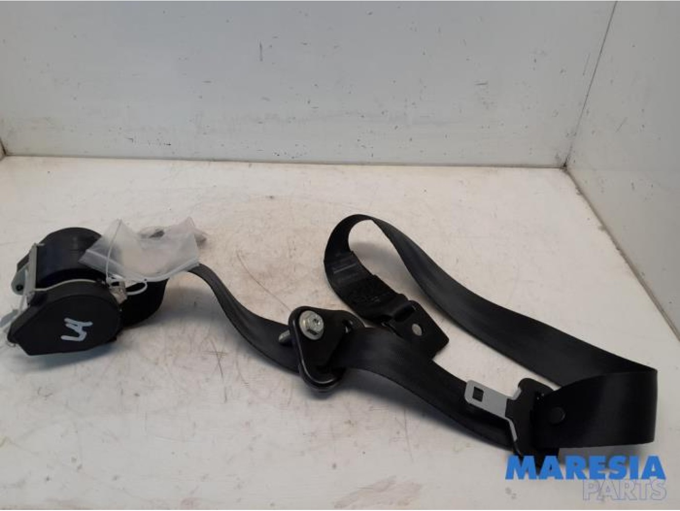 Renault - Scenic - Veiligheidsgordel links-achter