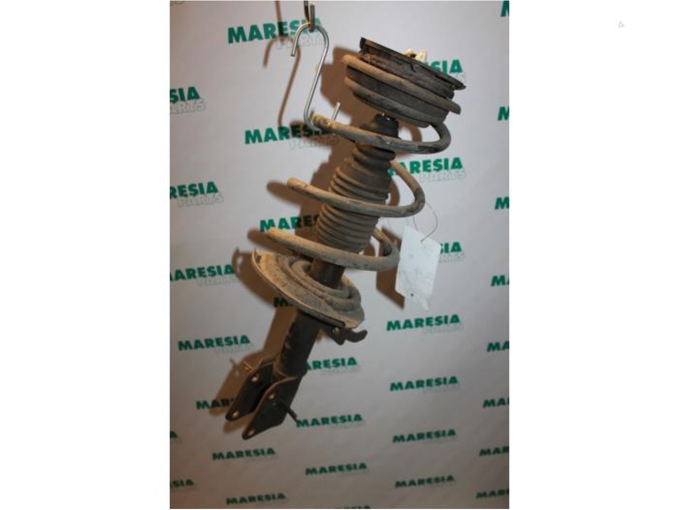 Renault - Laguna - Front shock absorber rod, left
