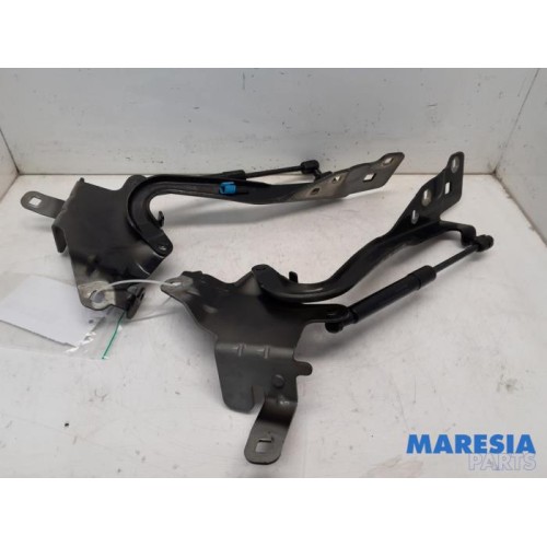 Renault - Scenic - Bonnet Hinge