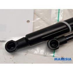 Citroen - C4 Grand Picasso - Set Gasdämpfer Heckklappe