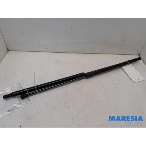 Citroen - C4 Grand Picasso - Set of tailgate gas struts