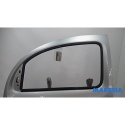 Renault - Kangoo - Tür 2-türig links