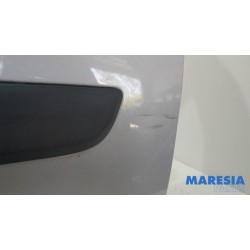 Renault - Kangoo - Tür 2-türig rechts