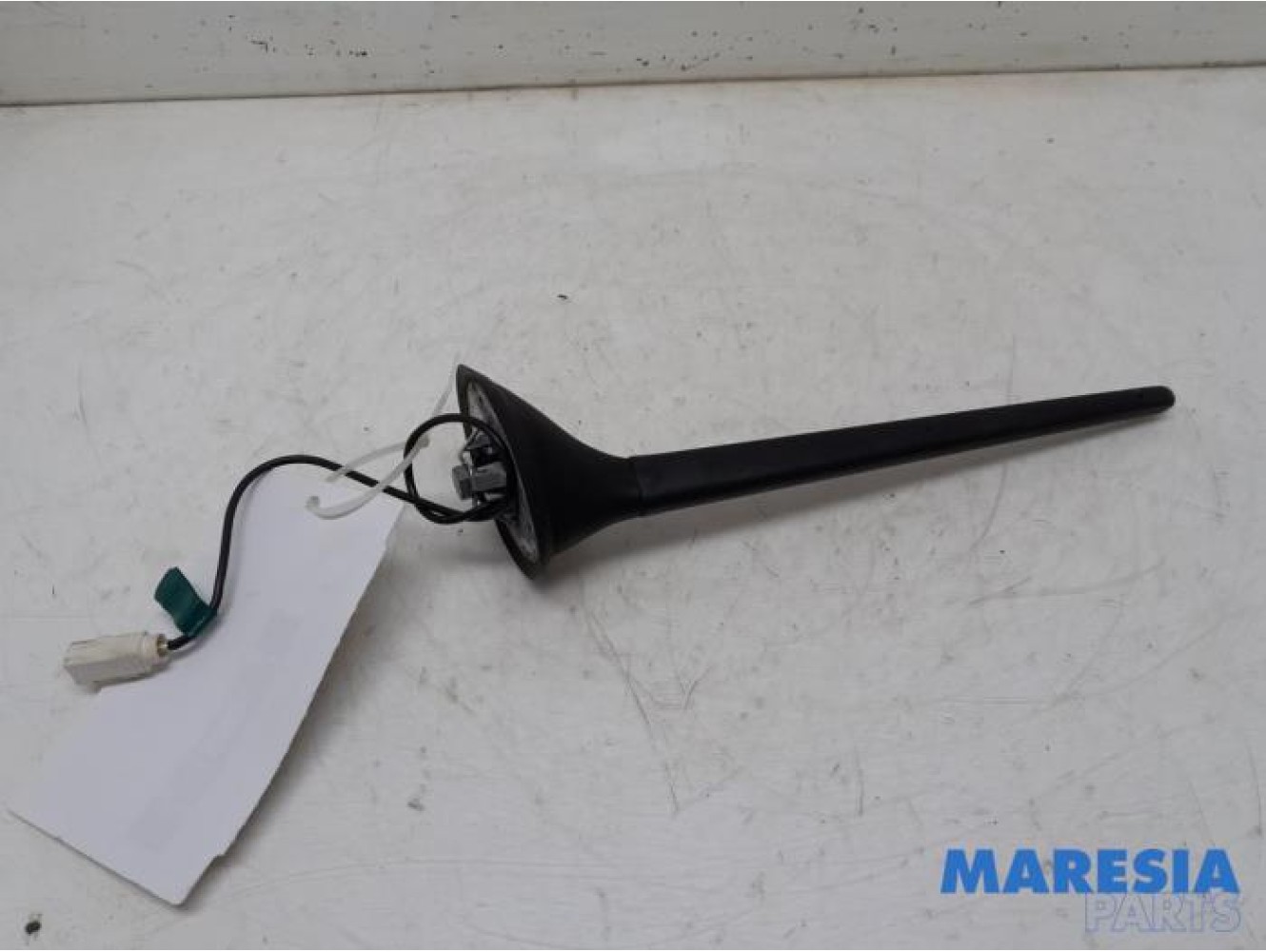 Fiat - 500 - Antenne