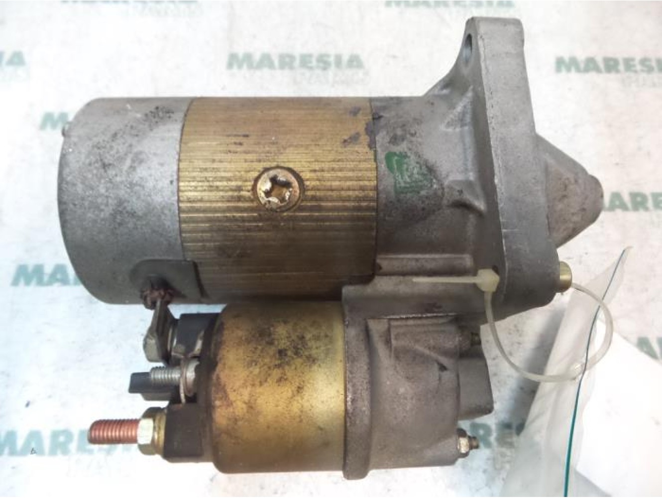 Lancia - Y(Psilon) - Starter