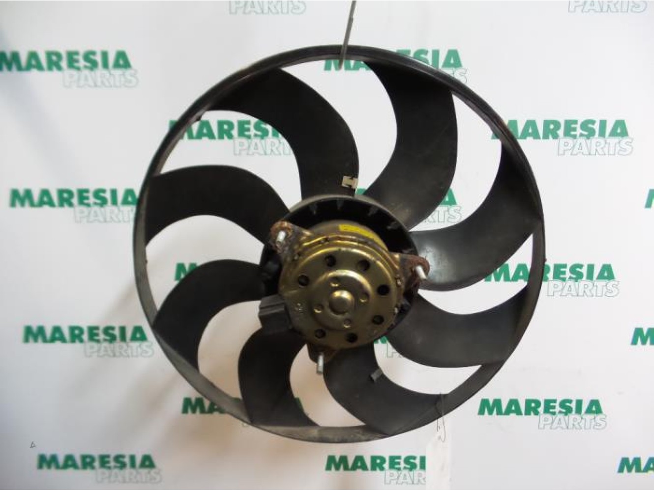 Fiat - Stilo - Kühlgebläse Motor