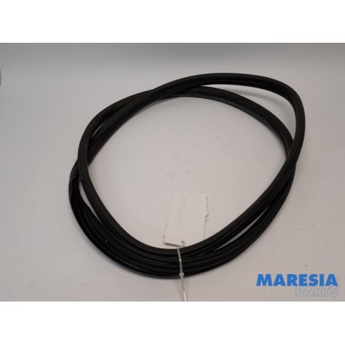 Peugeot - 3008 - Portierrubber 4Deurs links-achter