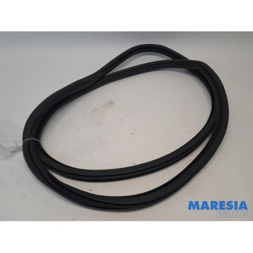 Peugeot - 308 - Front door seal 4-door, left