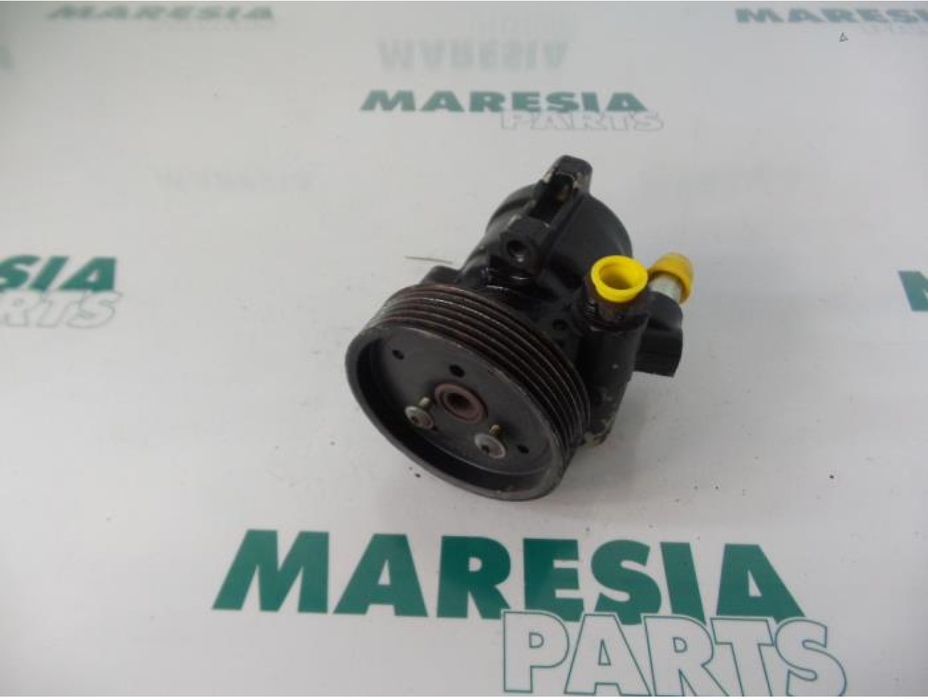 Renault - Clio - Power steering pump