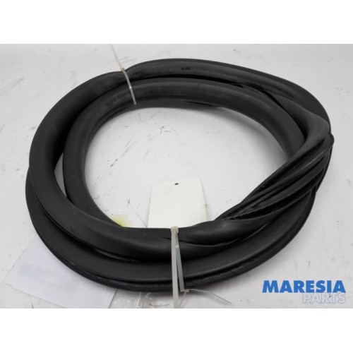 Citroen - C4 Grand Picasso - Rear door seal 4-door, left