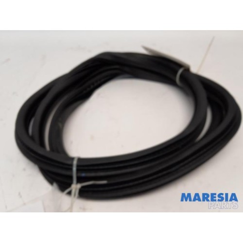 Citroen - C4 Grand Picasso - Rear door seal 4-door, right