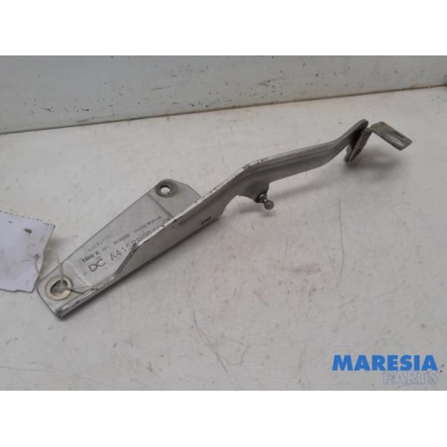 Renault - Kangoo - Bonnet Hinge