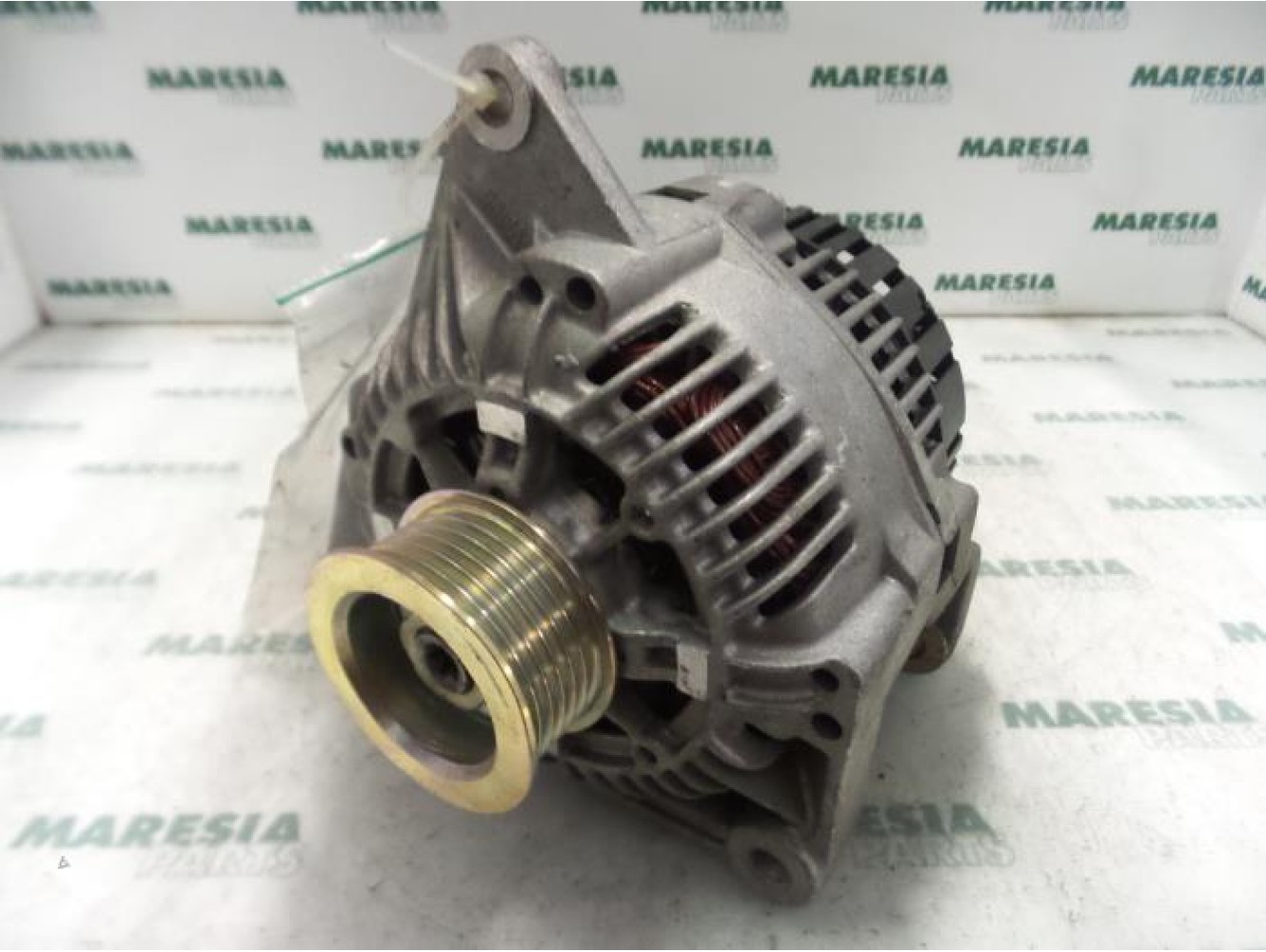 Renault - Megane Scenic - Dynamo