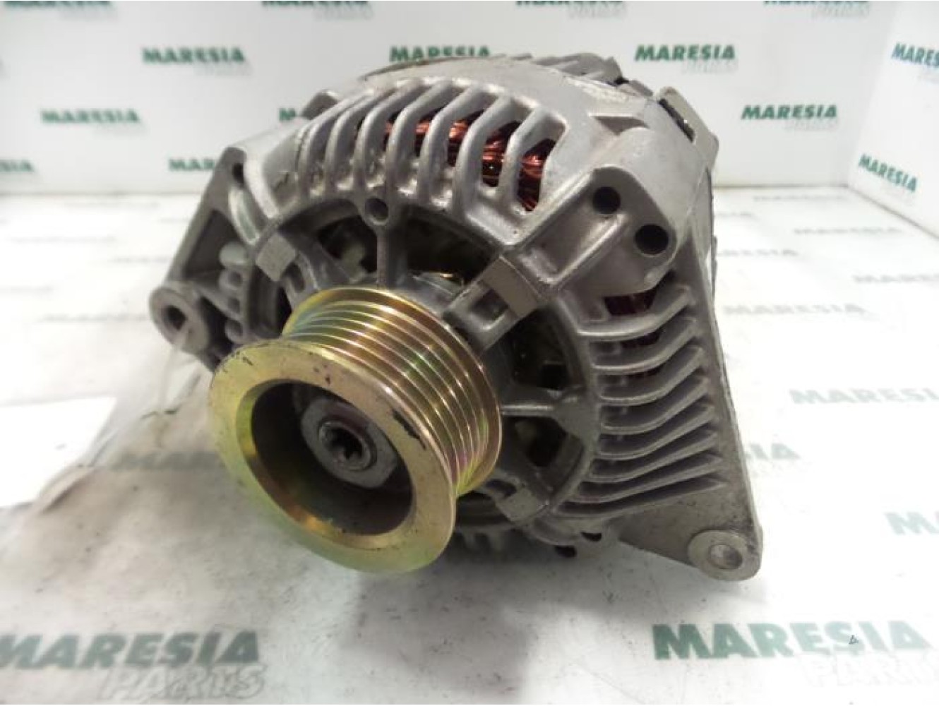Renault - Megane Scenic - Dynamo