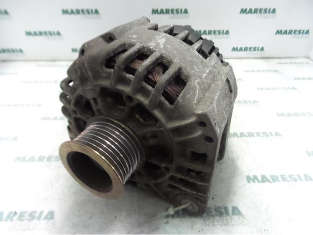Renault - Megane Scenic - Dynamo